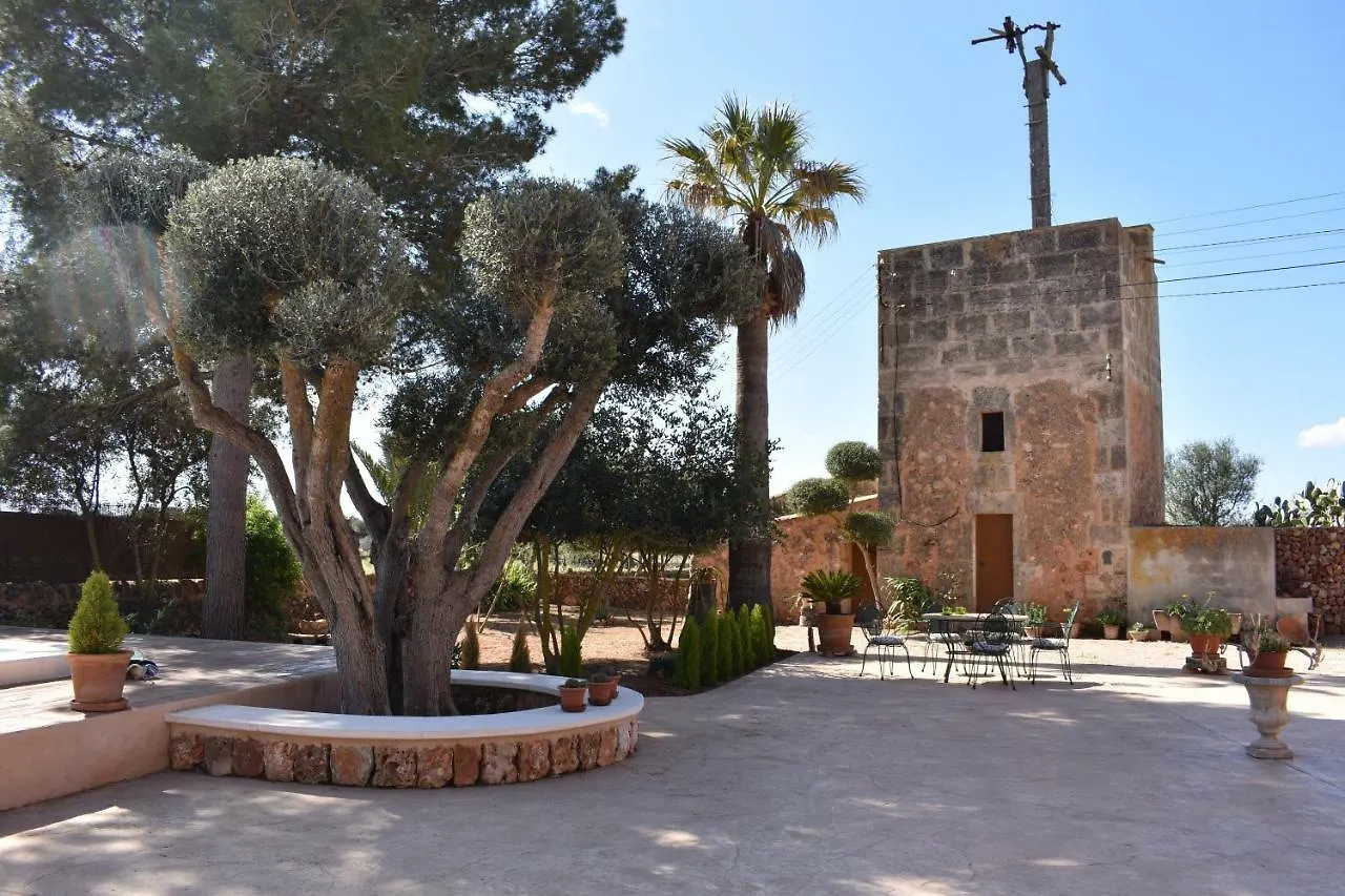 Finca Es Mateus Hotel Campos  Spain